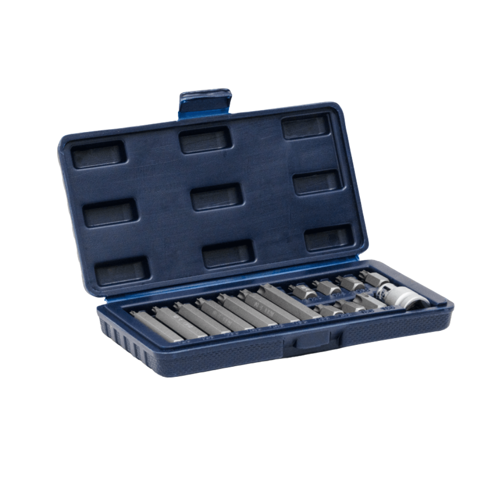 Juego de Puntas BREMEN Torx 15 Pzs