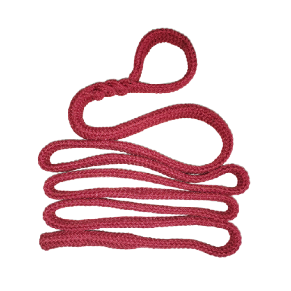 Eslinga de ojo en poliéster – cinta plana con ojales reforzados (varias capacidades y largos)