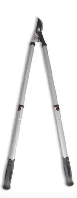 Tijera de podar Bremen telescópica sistema bypass